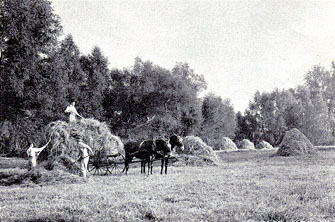 Loading hay