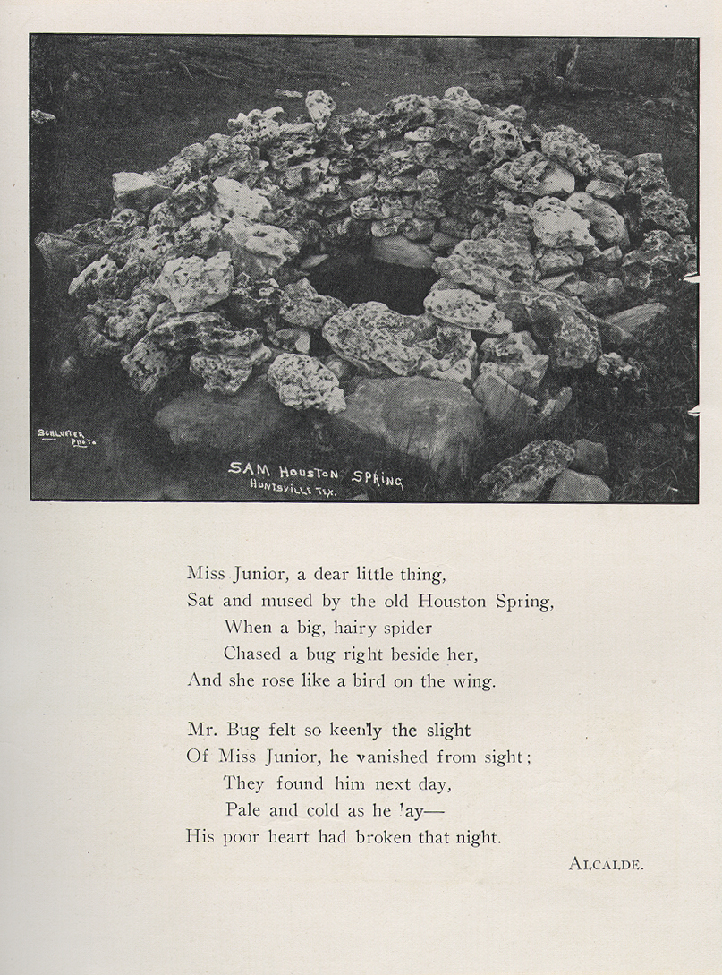 Spring Poem